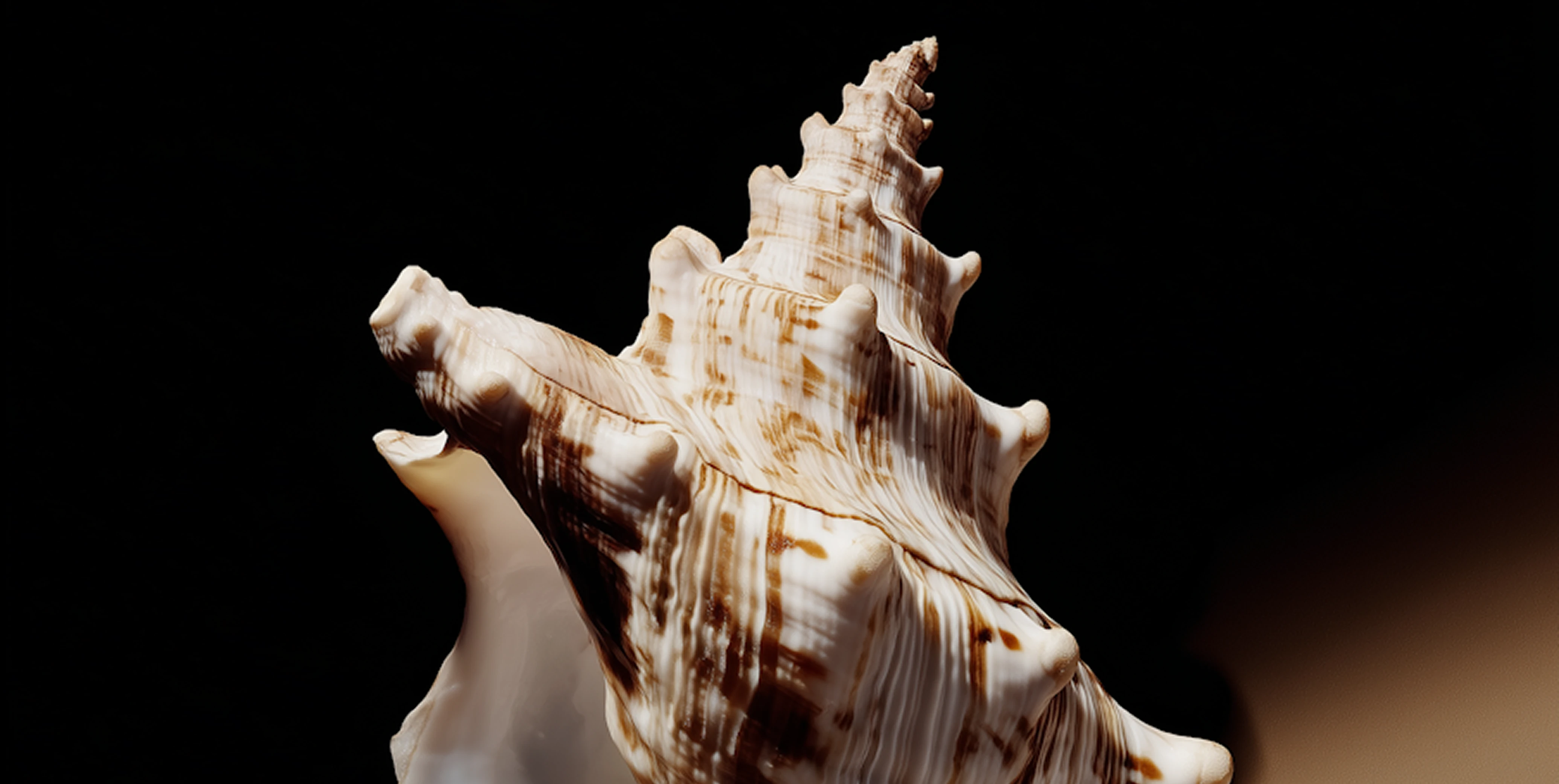 Blog Banner Image